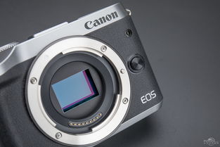 数码相机最好的是什么品牌数码相机哪个牌子好性价比高(图1)